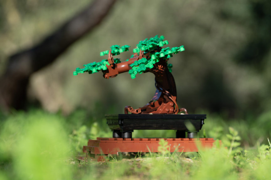 LEGO® Botanical Collection review: 10281 Bonsai Tree